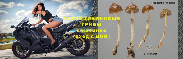 ECSTASY Аркадак