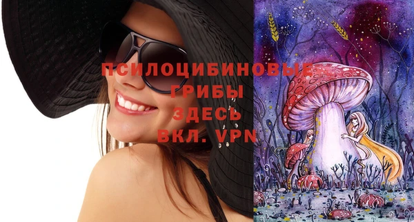 экстази Арсеньев