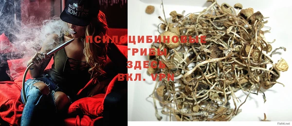 экстази Арсеньев
